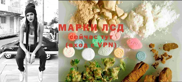 стаф Богданович