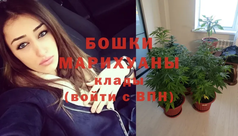 OMG ONION  купить закладку  Новоалександровск  Шишки марихуана OG Kush 